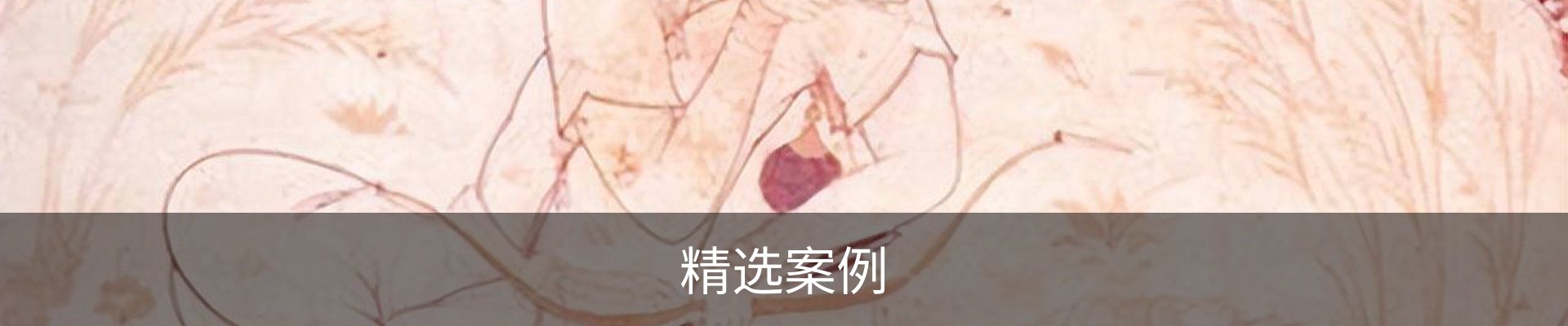 精选案例